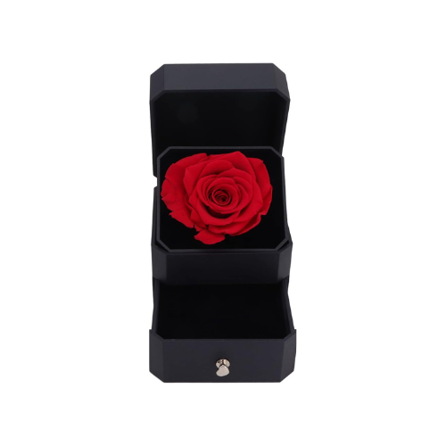 Luxurious Jewelry Box With Eternal Rose + Magnetic Four Heart Necklace