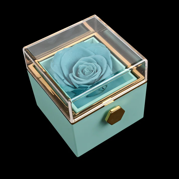 Eternal rose box with Double Heart Necklace