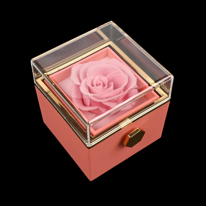 Eternal rose box with Double Heart Necklace