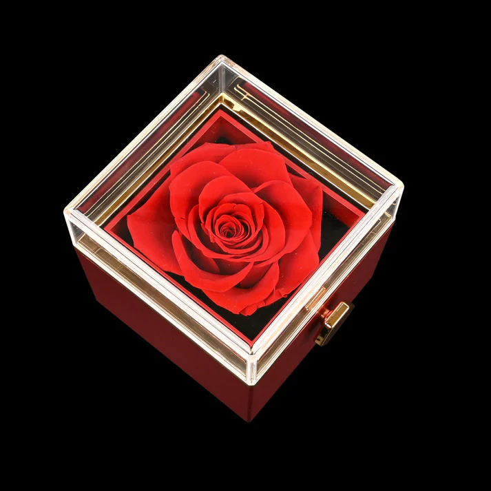 Eternal rose box with Double Heart Necklace